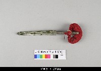 藏品(泉州傀儡戲道具)的圖片